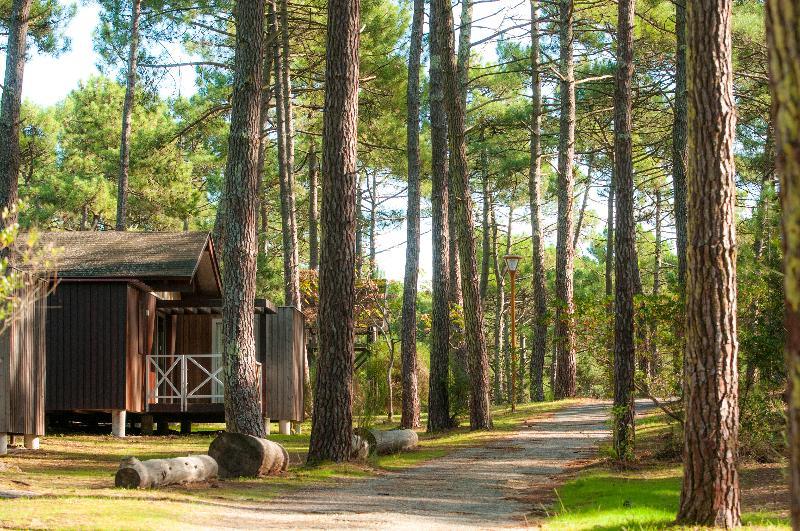 Vtf Les Oyats Sylvadoures Hotel Maubuisson Ngoại thất bức ảnh